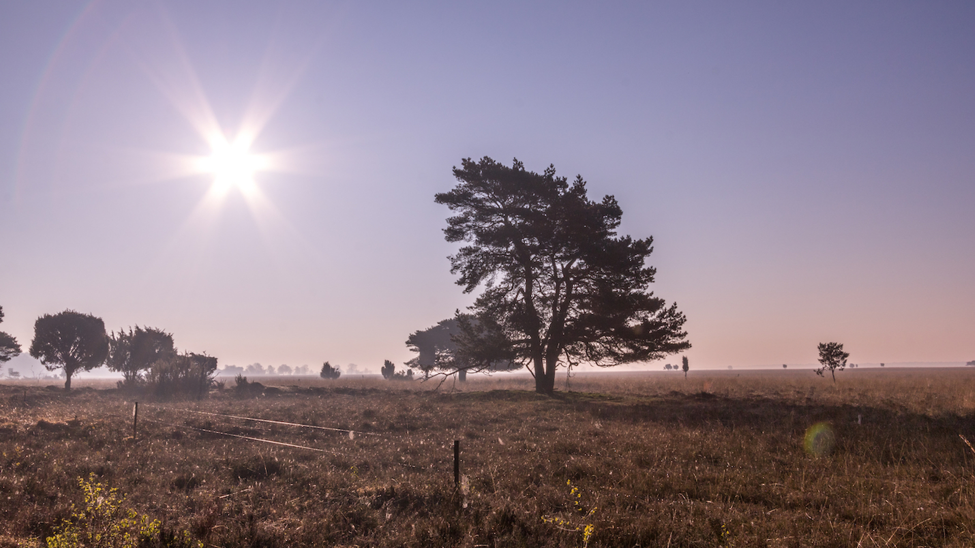 annick_de_caluwe1980-1684081757