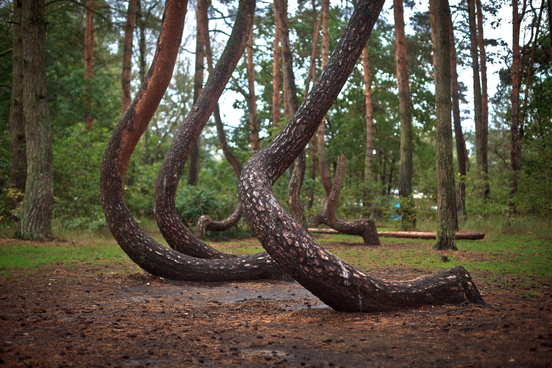 shutterstock_1875815755-1669908879