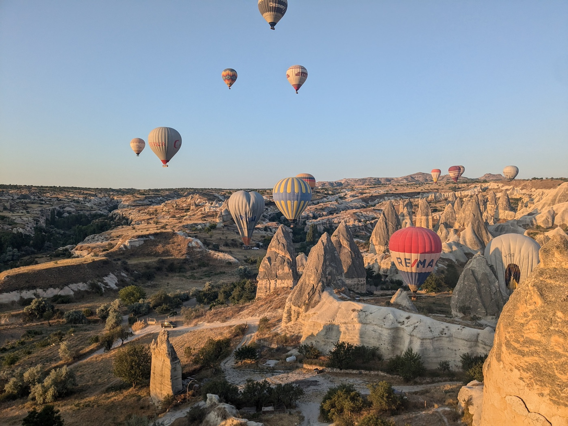 PXL_20240713_030153360-1728486749