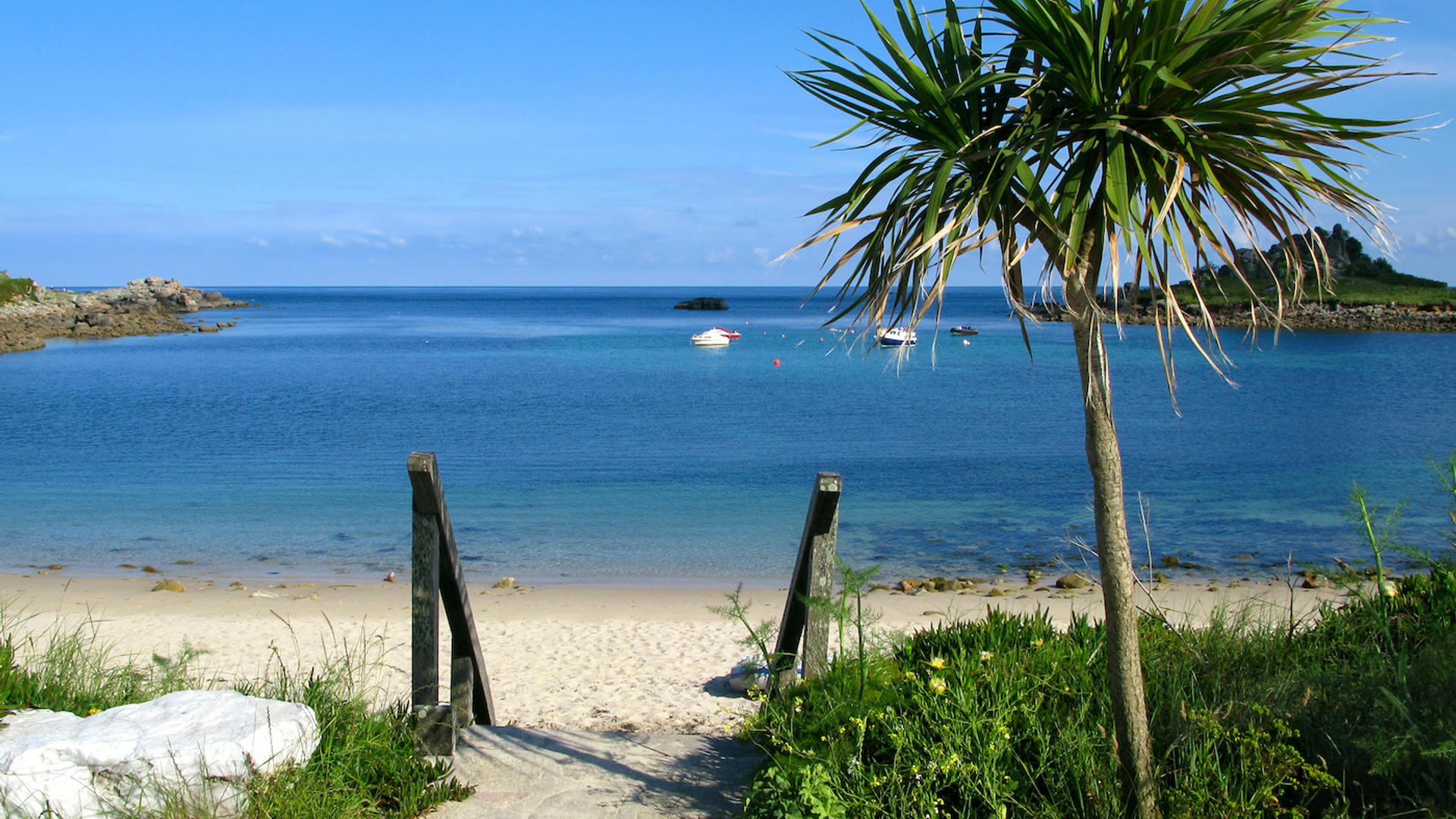 Stephen_Rees-1703069322