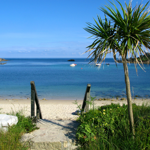 Deze Engelse eilandengroep schotelt je zon, palmbomen en witte stranden voor