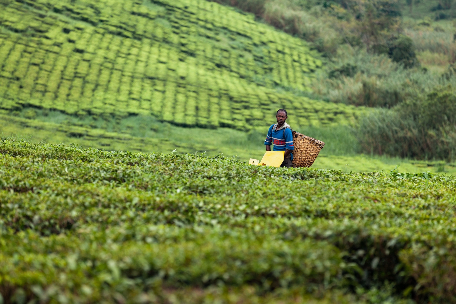 shutterstock_2040274166-1690903551