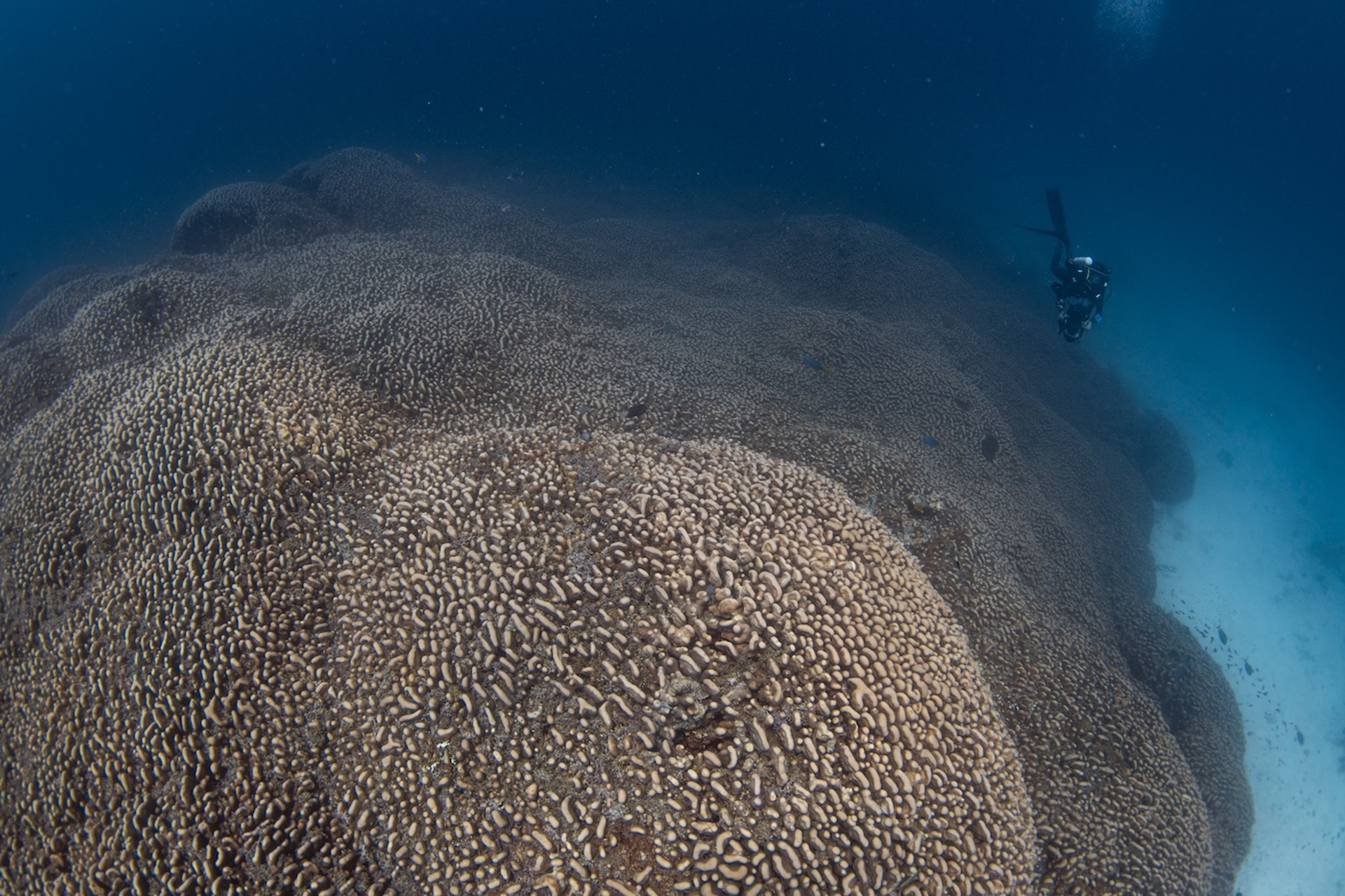 MSF_2532Nat_Geographic-1732613843