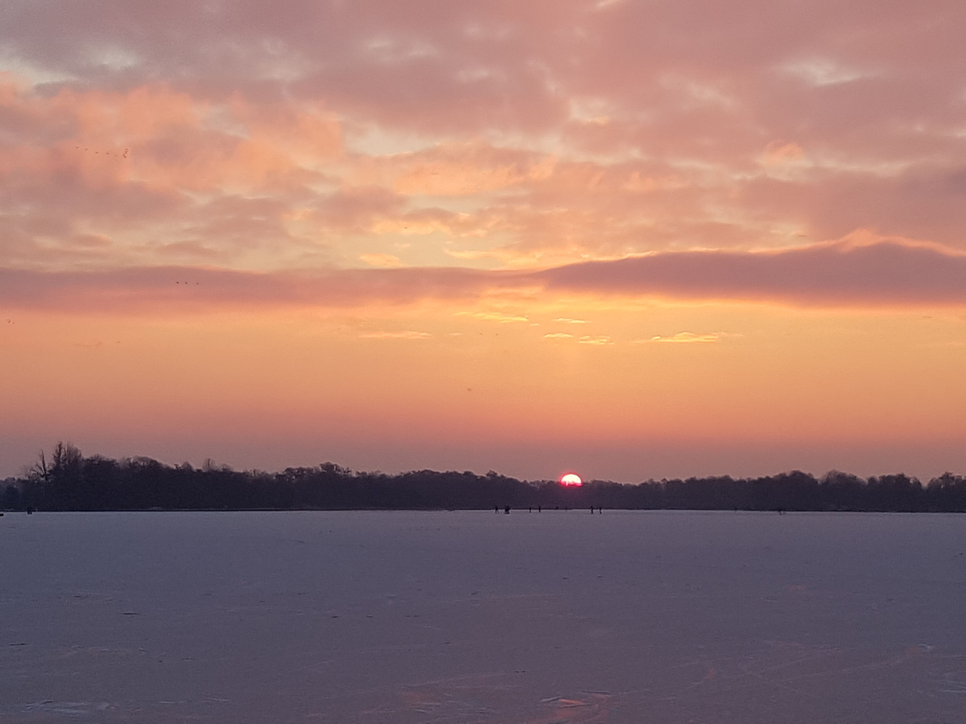 Lodewijk_van_Well__Vuntus-1614085709