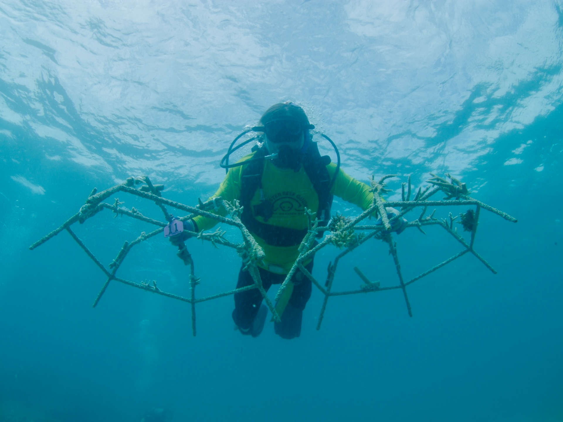 Eric_FIsher_carrying_Reef_Stars-1747405009