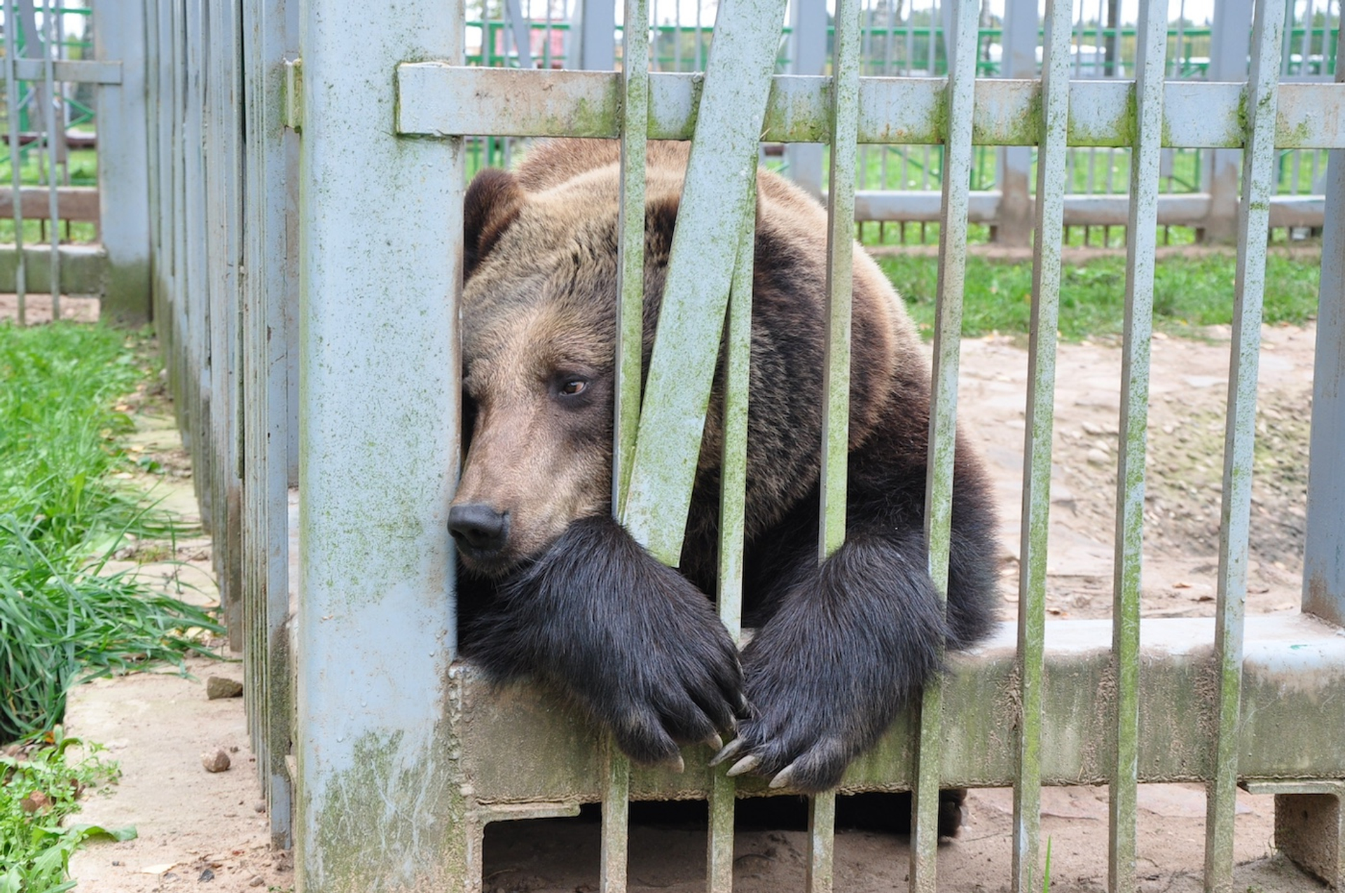 shutterstock_1033094272-1721739224