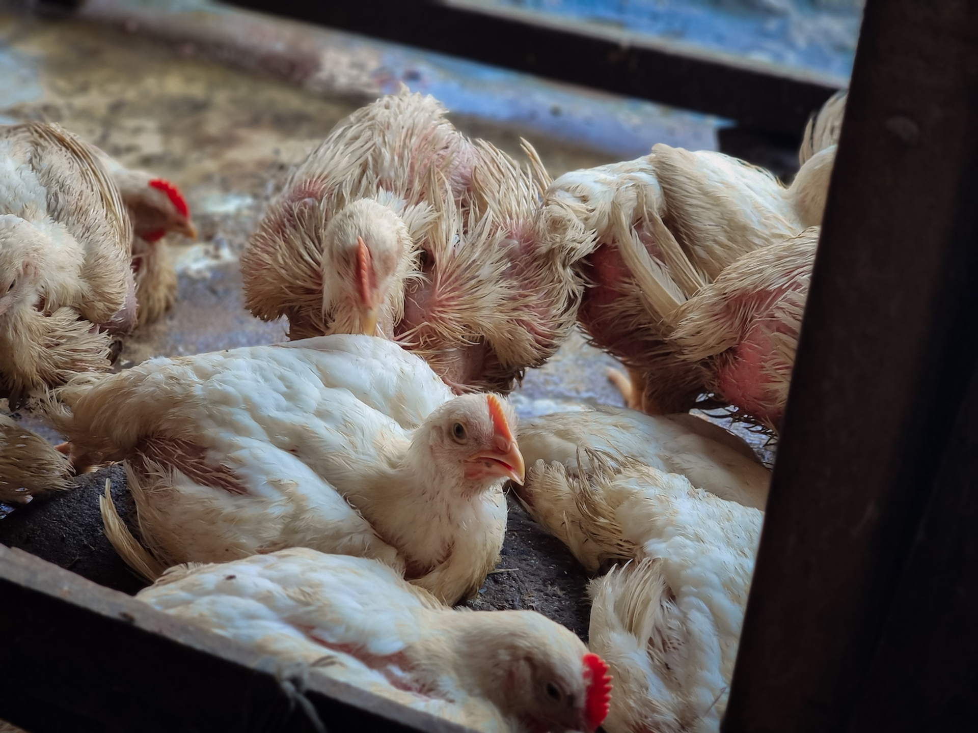 shutterstock_2345484139-1695981411