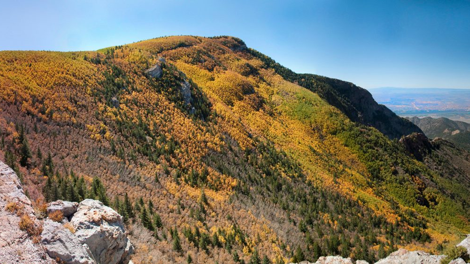 3b01bb5e-da30-4fce-bfd4-8ebd079fbbf4-1605100622