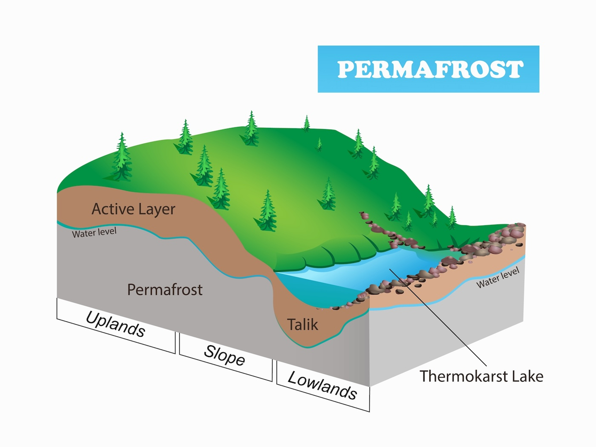Radzas2008-1744287698