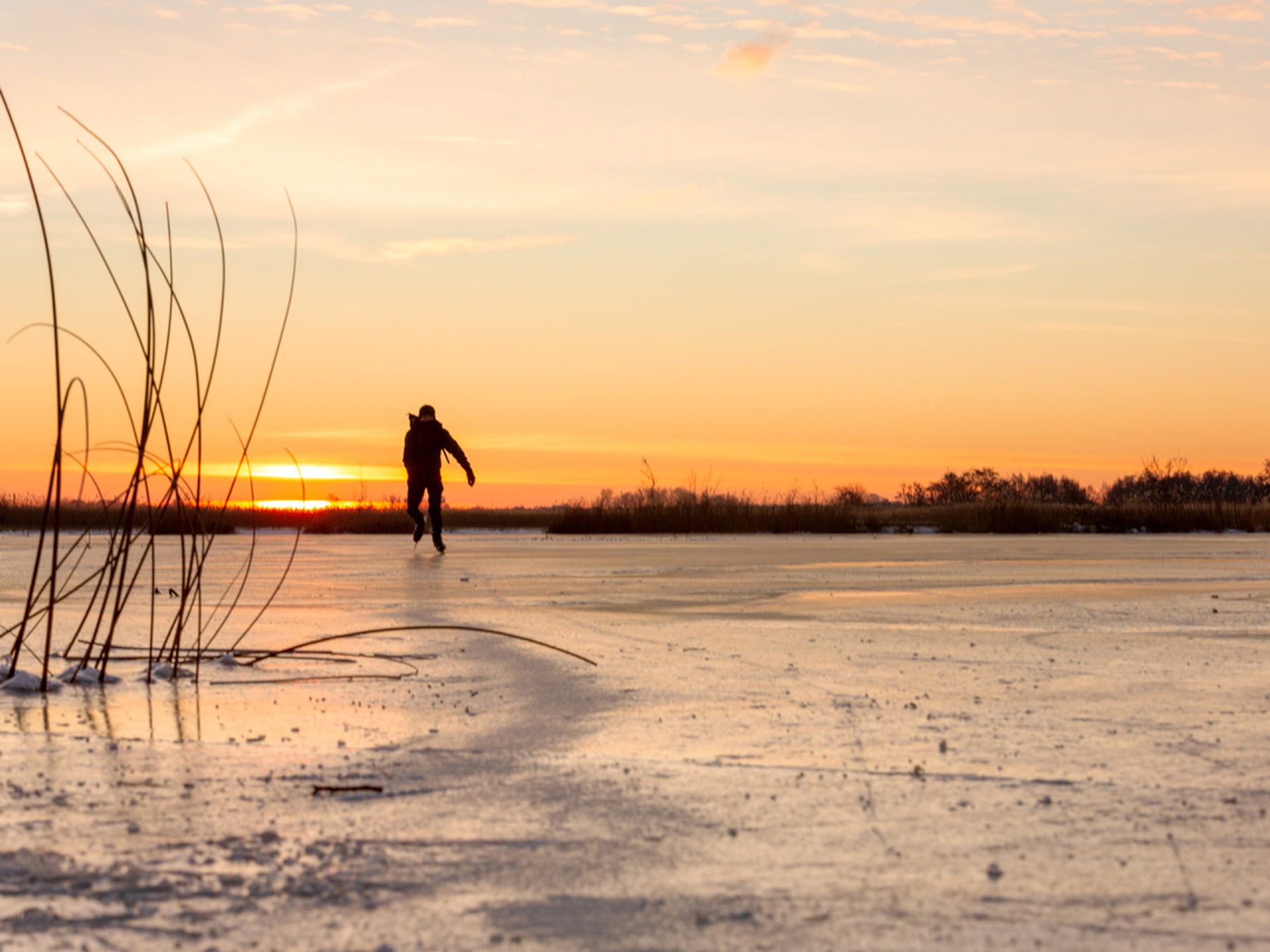 Regina_Kappert__Weerribben-Wieden2-1614085677