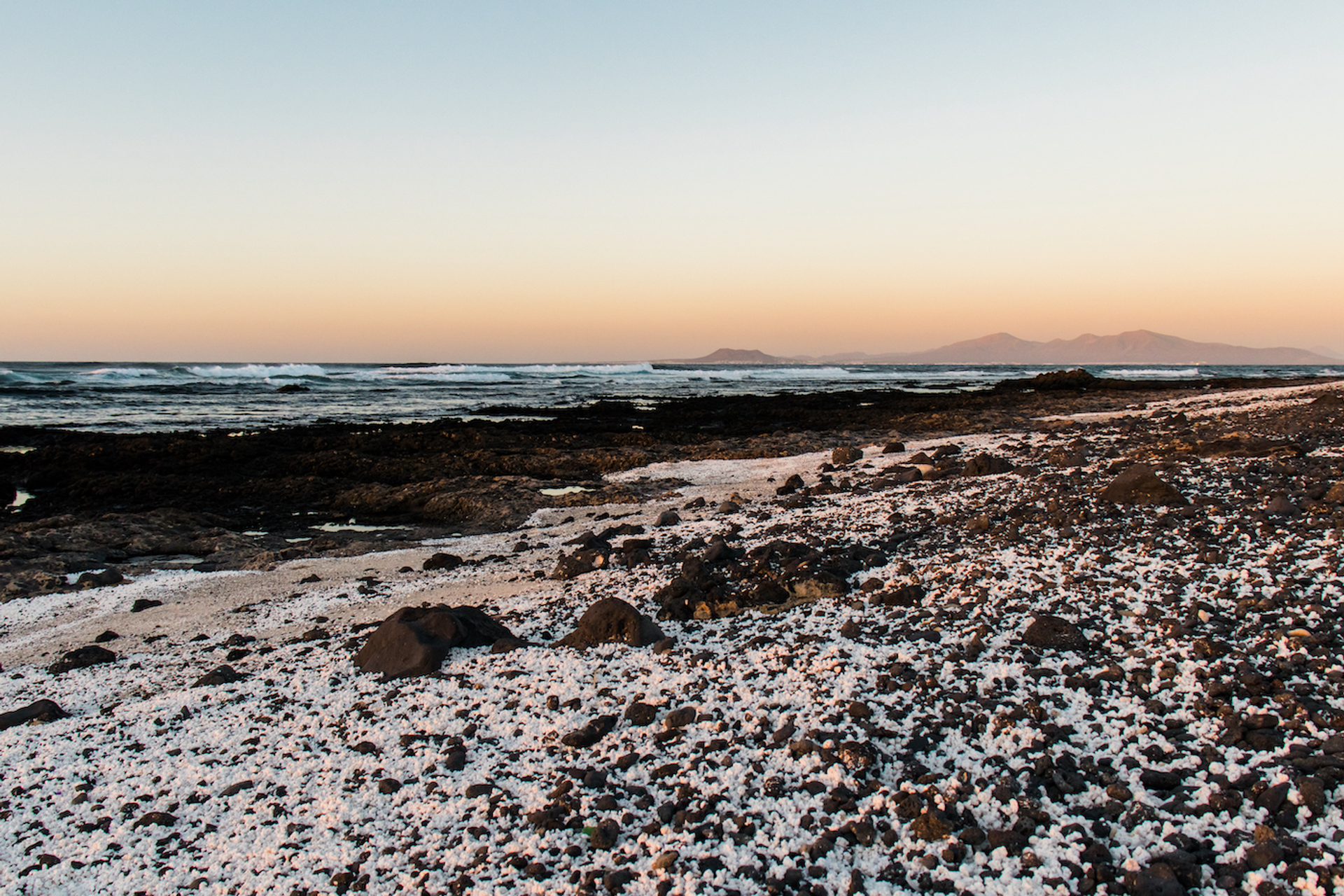 shutterstock_776292181-1689603693