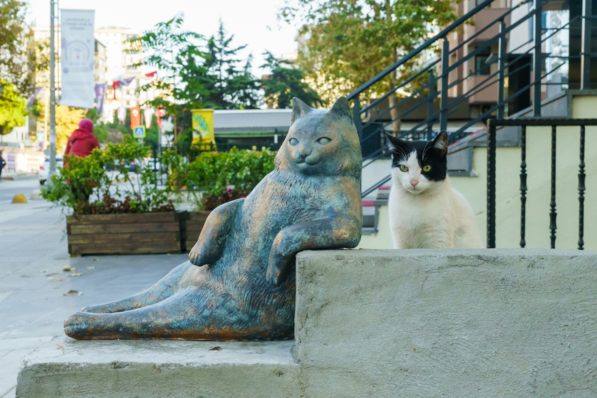 shutterstock_2222404843-1719924386