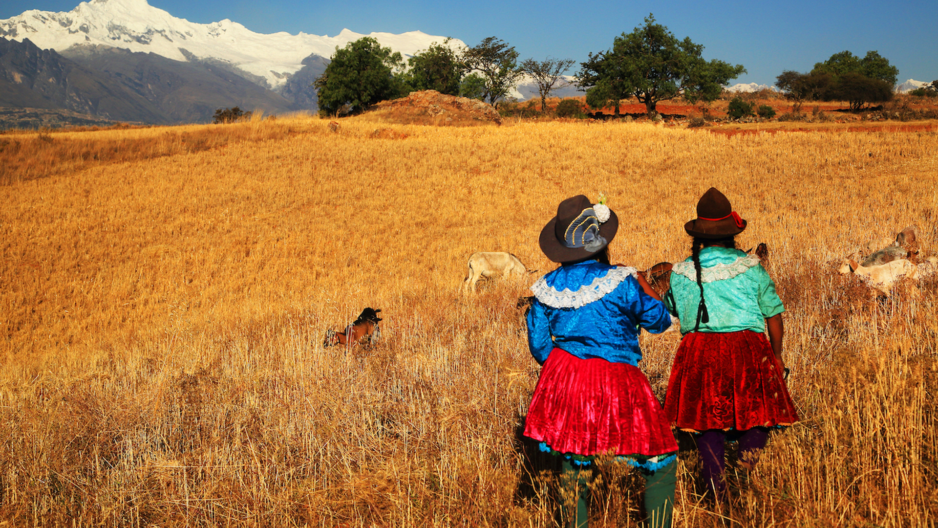 shutterstock_Mikadun-1639741111