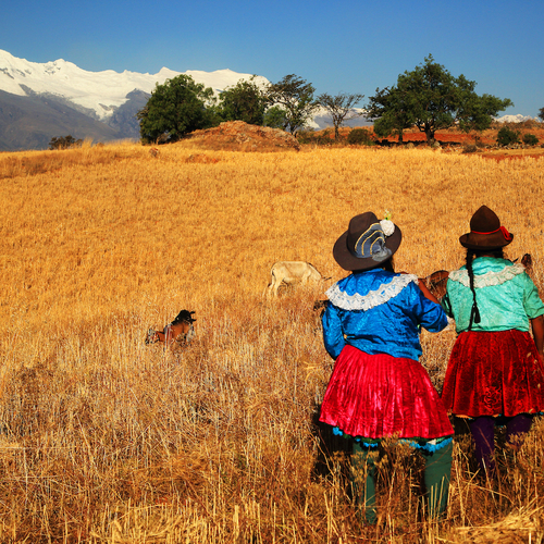 Wat zeg je? In Zuid-Amerika gaan talen in rap tempo ten onder
