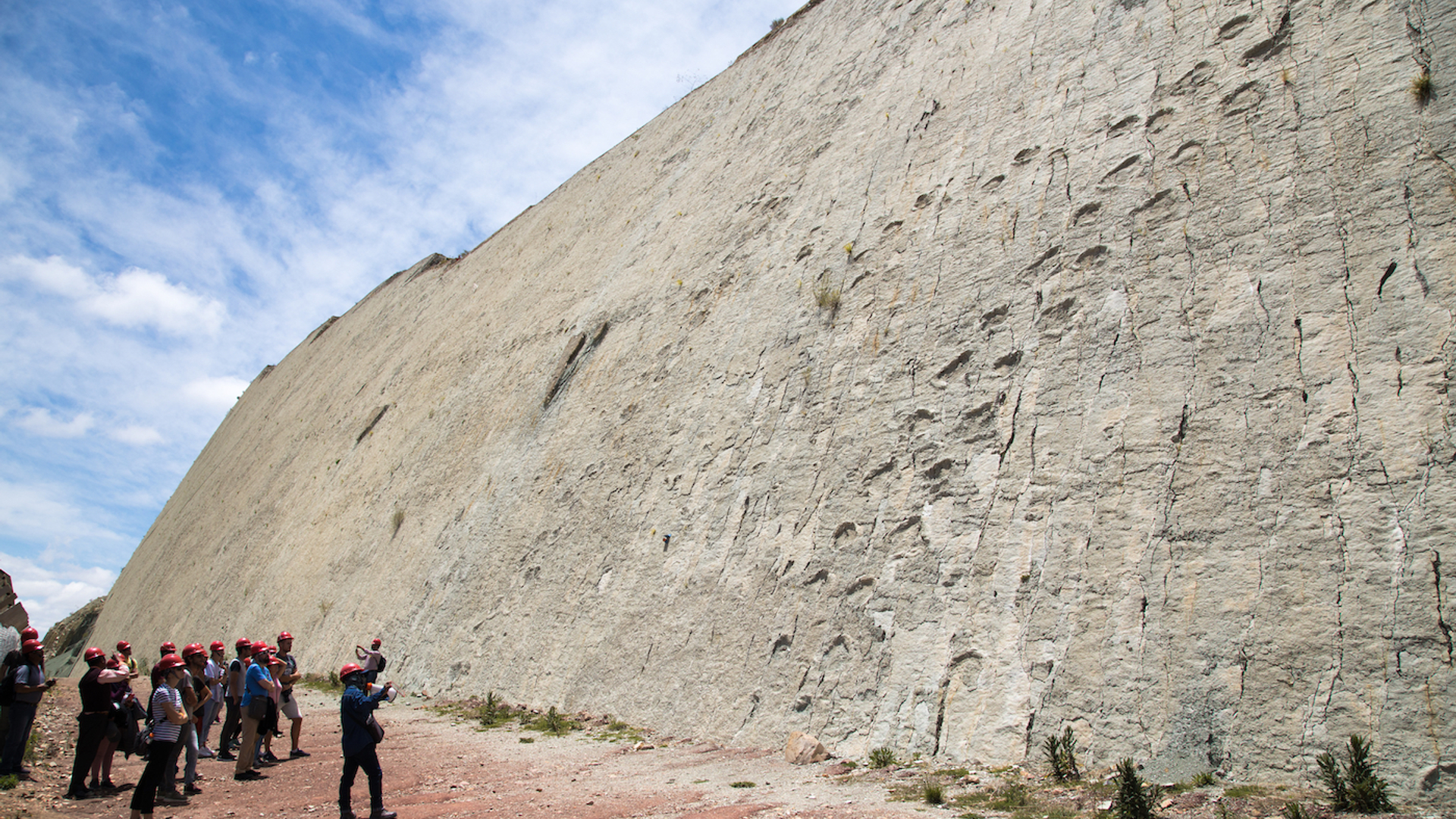 shutterstock_1567156003-1626175577