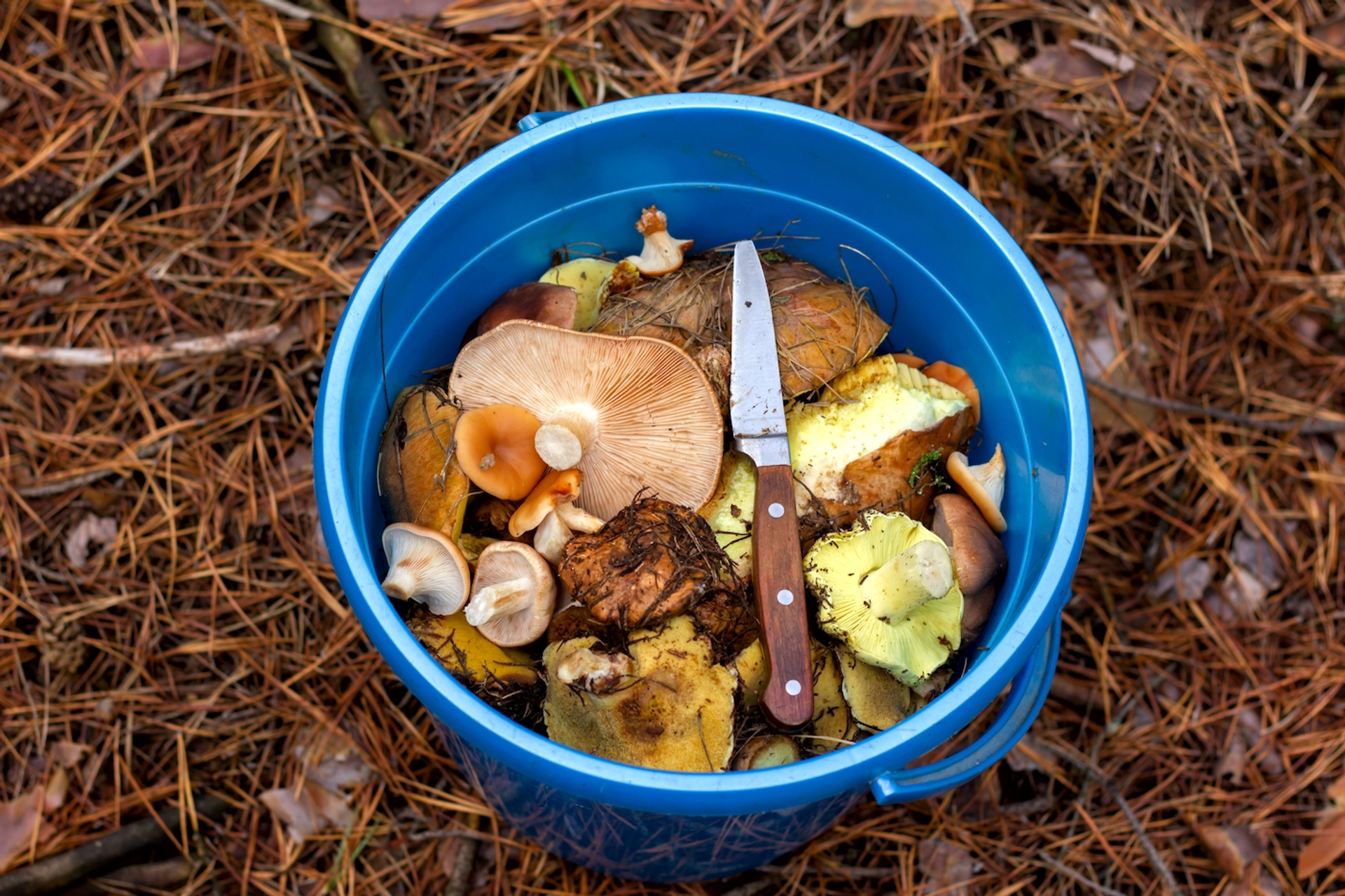 shutterstock_2069449334-1639646498