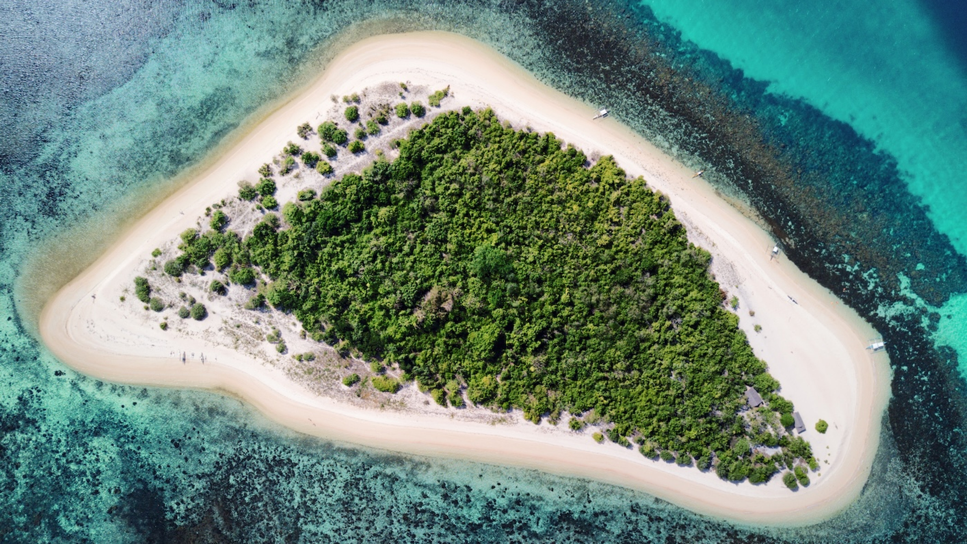 shutterstock_649305001-1728485973