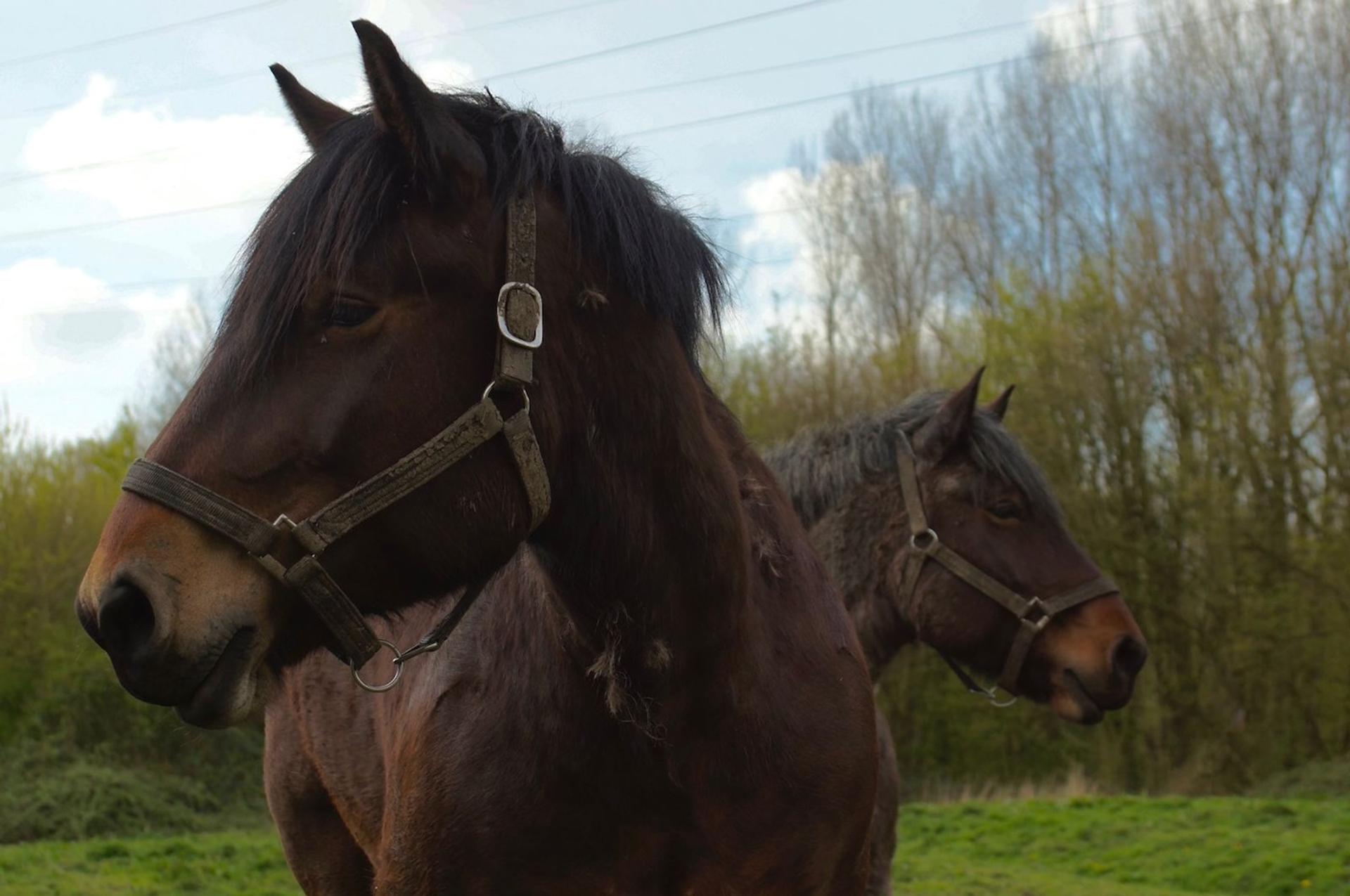 WhatsApp_Image_2024-05-27_at_15.22.43-1716911232