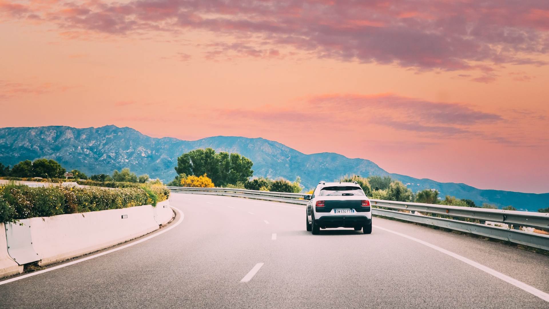 George_Trumpeter_kopie-1719245013