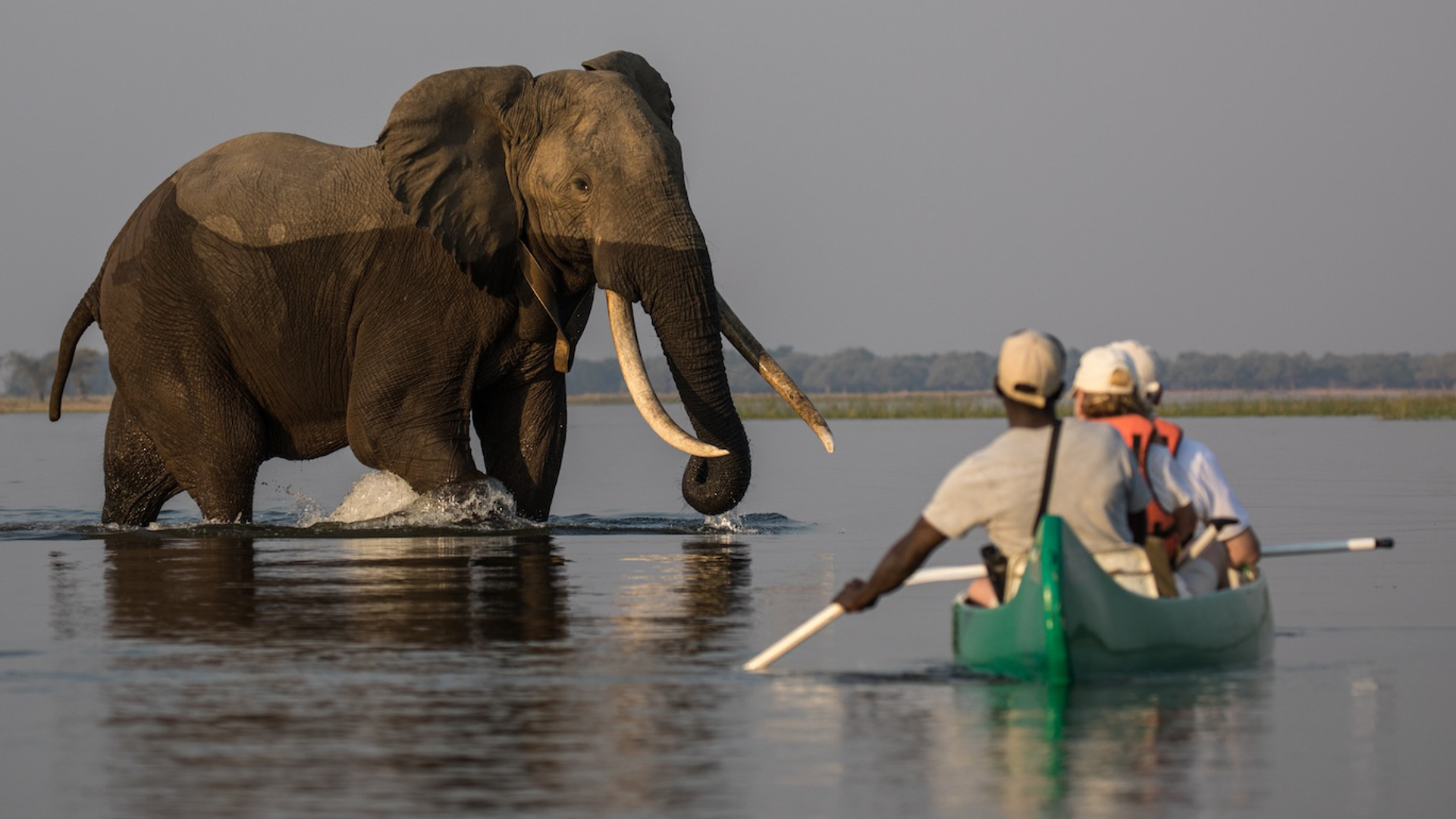 Matthias_Kern_Wildlife-1711551289