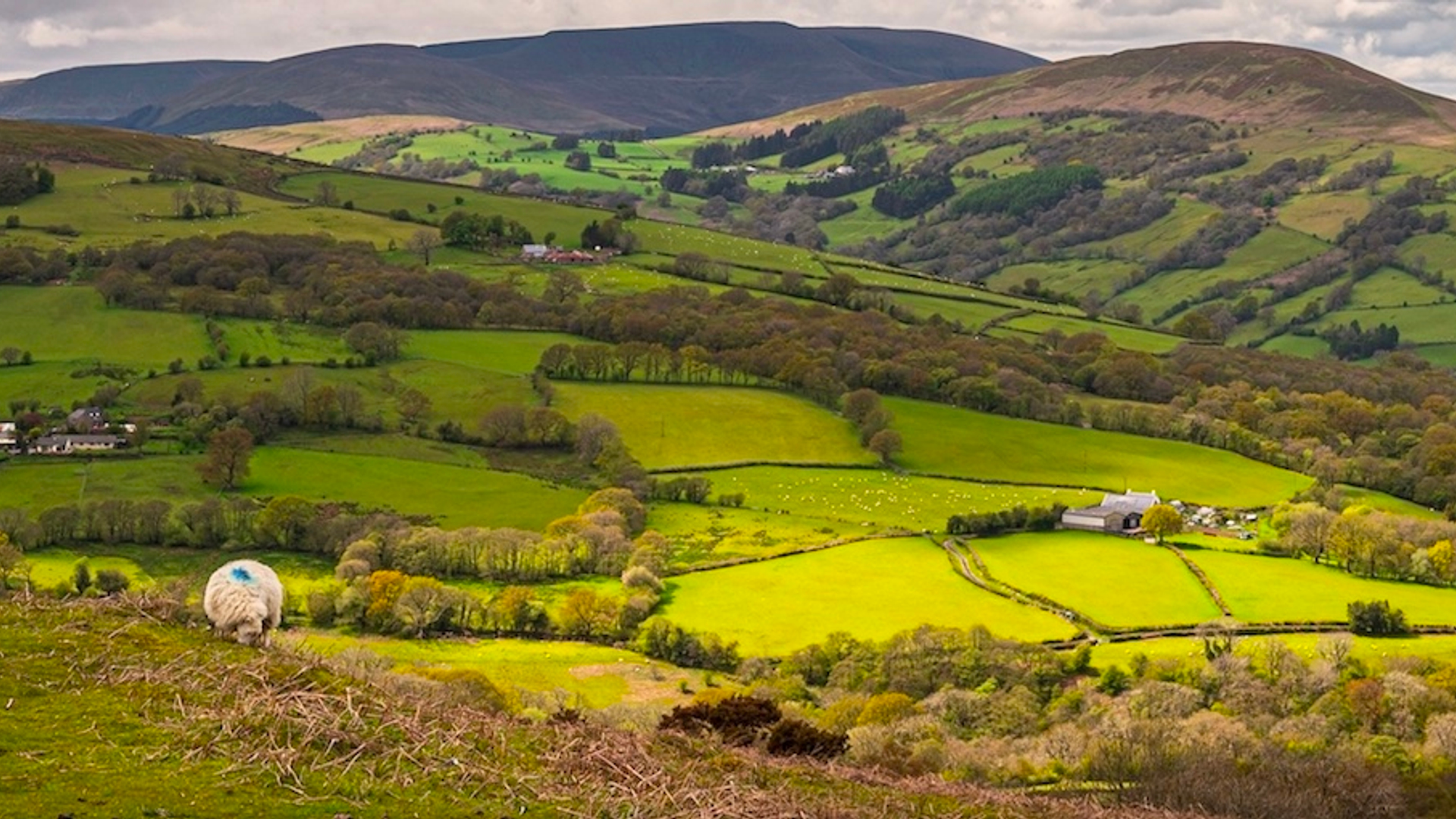 3OR_Wales_kopie-1648738754