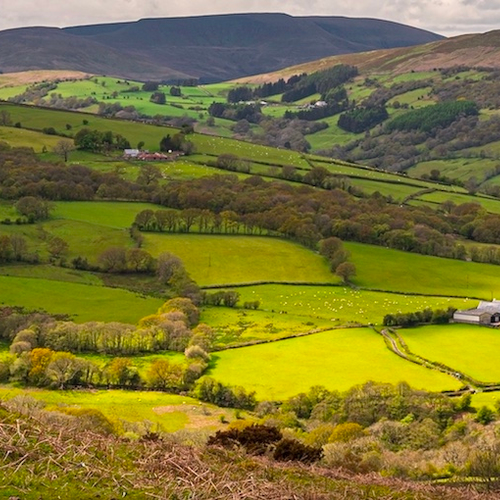 ’s Werelds beste wijnen drink je in Wales