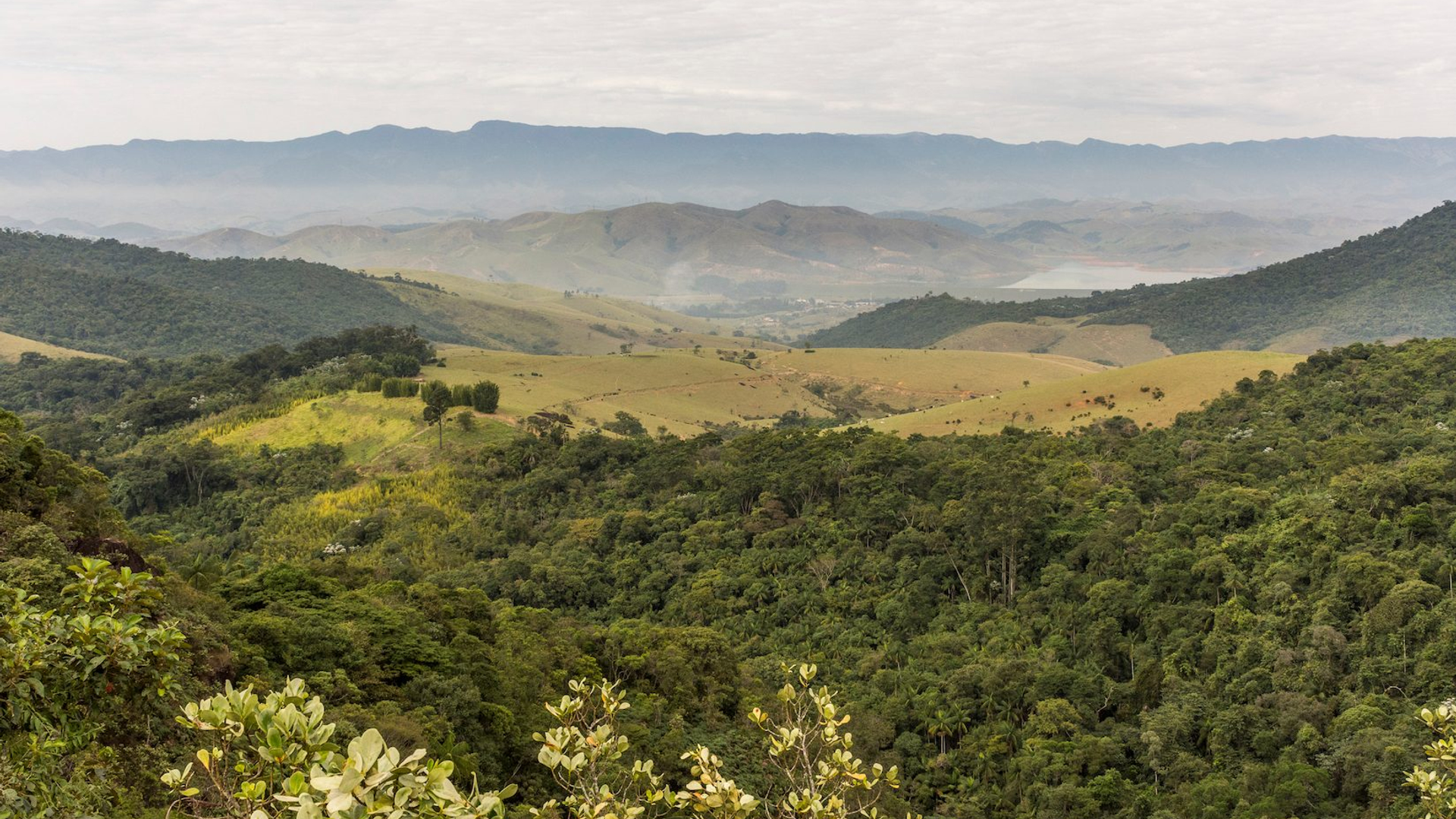 267a07df-25a4-49fd-a72b-0ae18854661f-1605105138