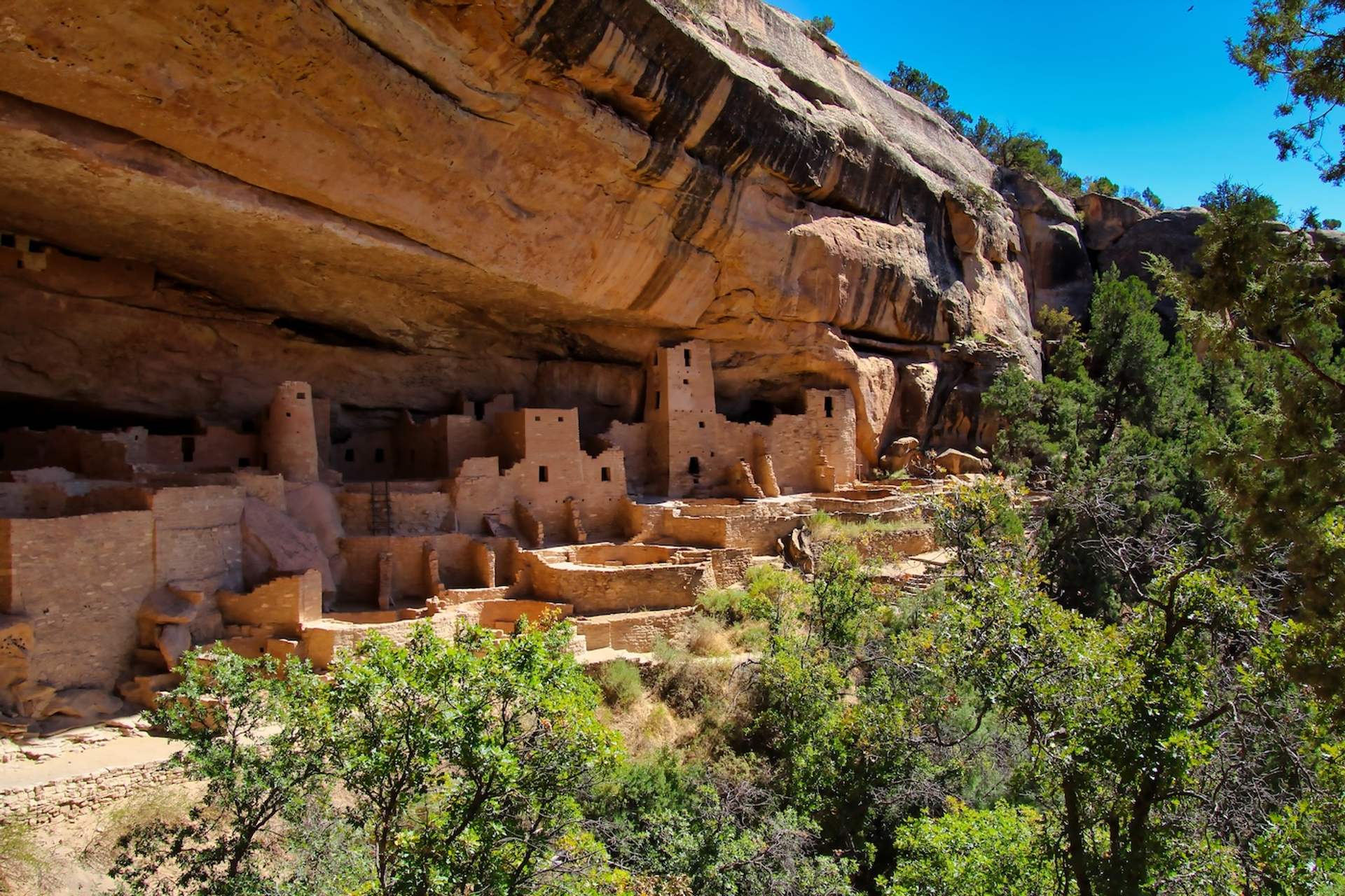 ORCHID_LADY-1721315015