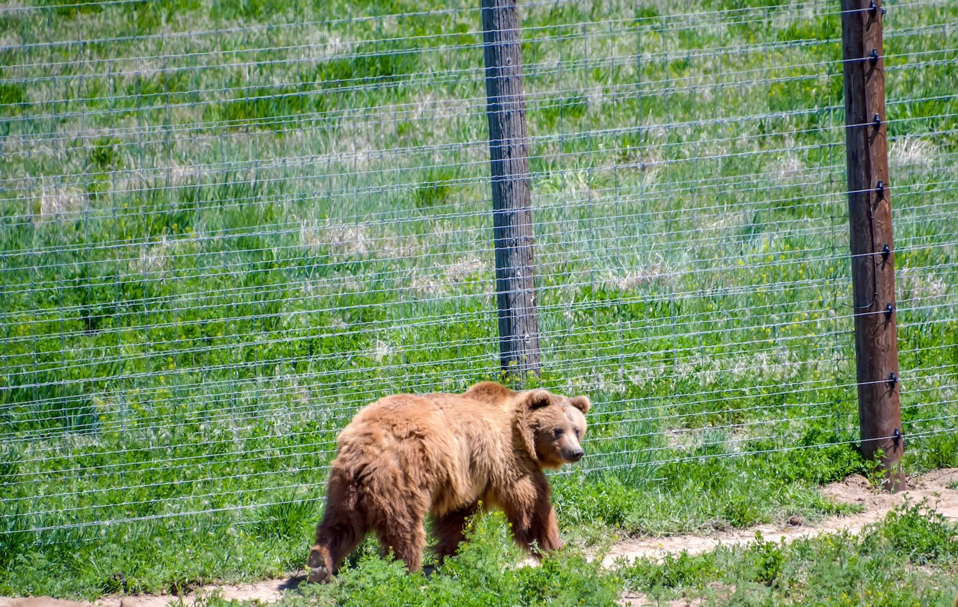 shutterstock_1420033472-1744896452