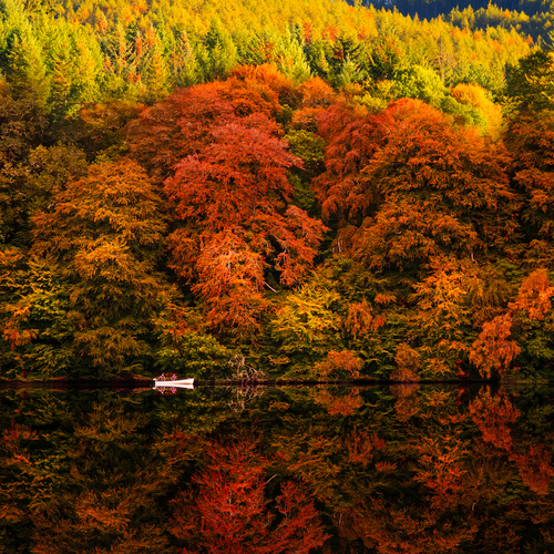 7 Europese bestemmingen die nog mooier zijn in de herfst