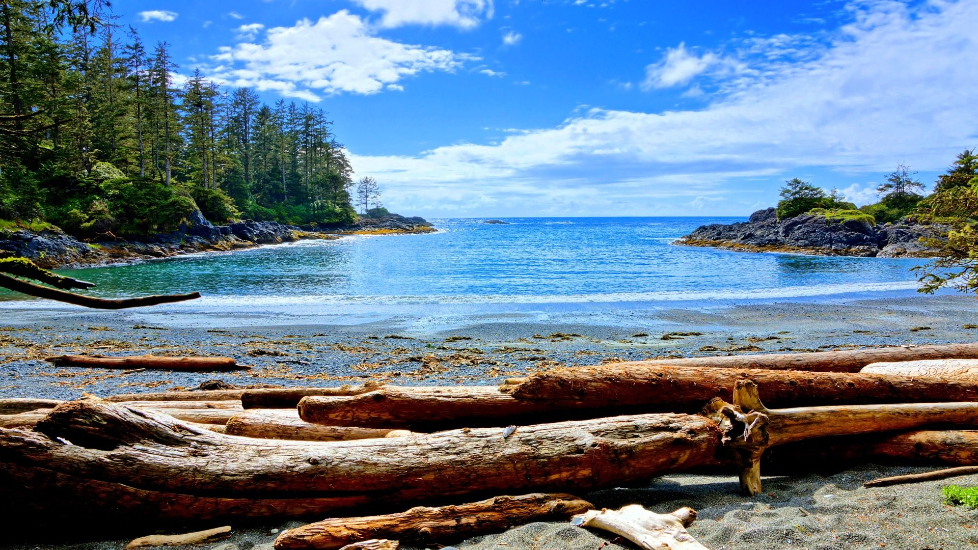 f4e2322a-9c17-4f38-9dff-5533777c6faa-1605104183