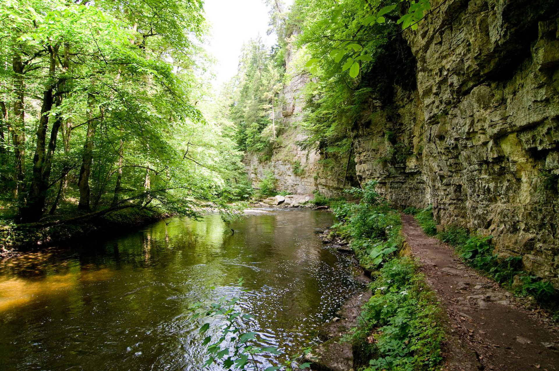 df015736-b4c4-4917-9fa1-50209c3e60b9-1604941221