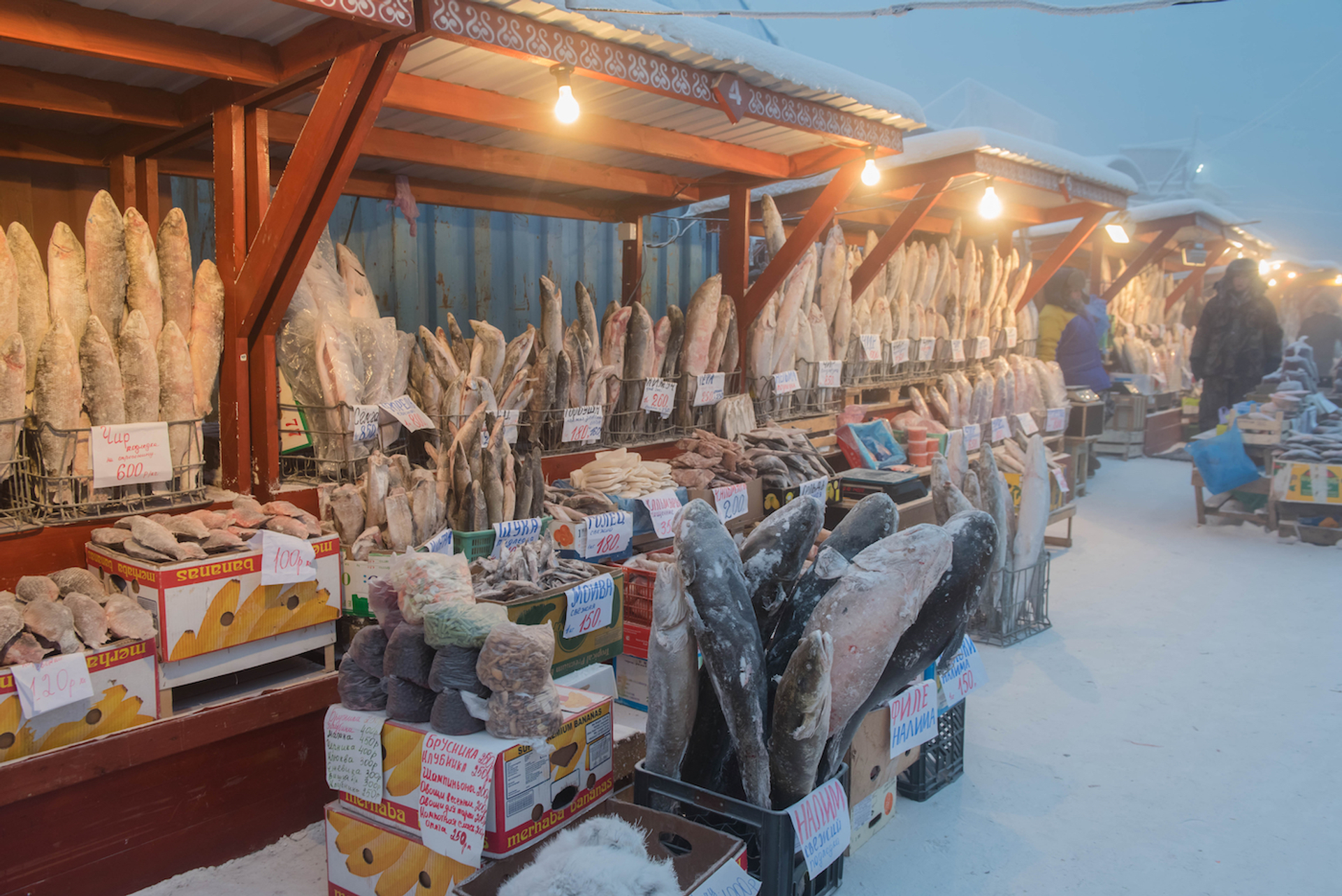 Mikhail_Cheremkin-1638983740