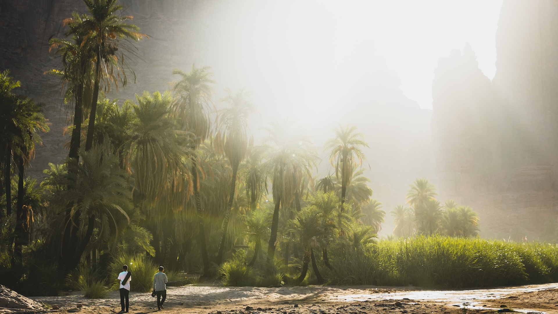 shutterstock_1611239635-1738333100