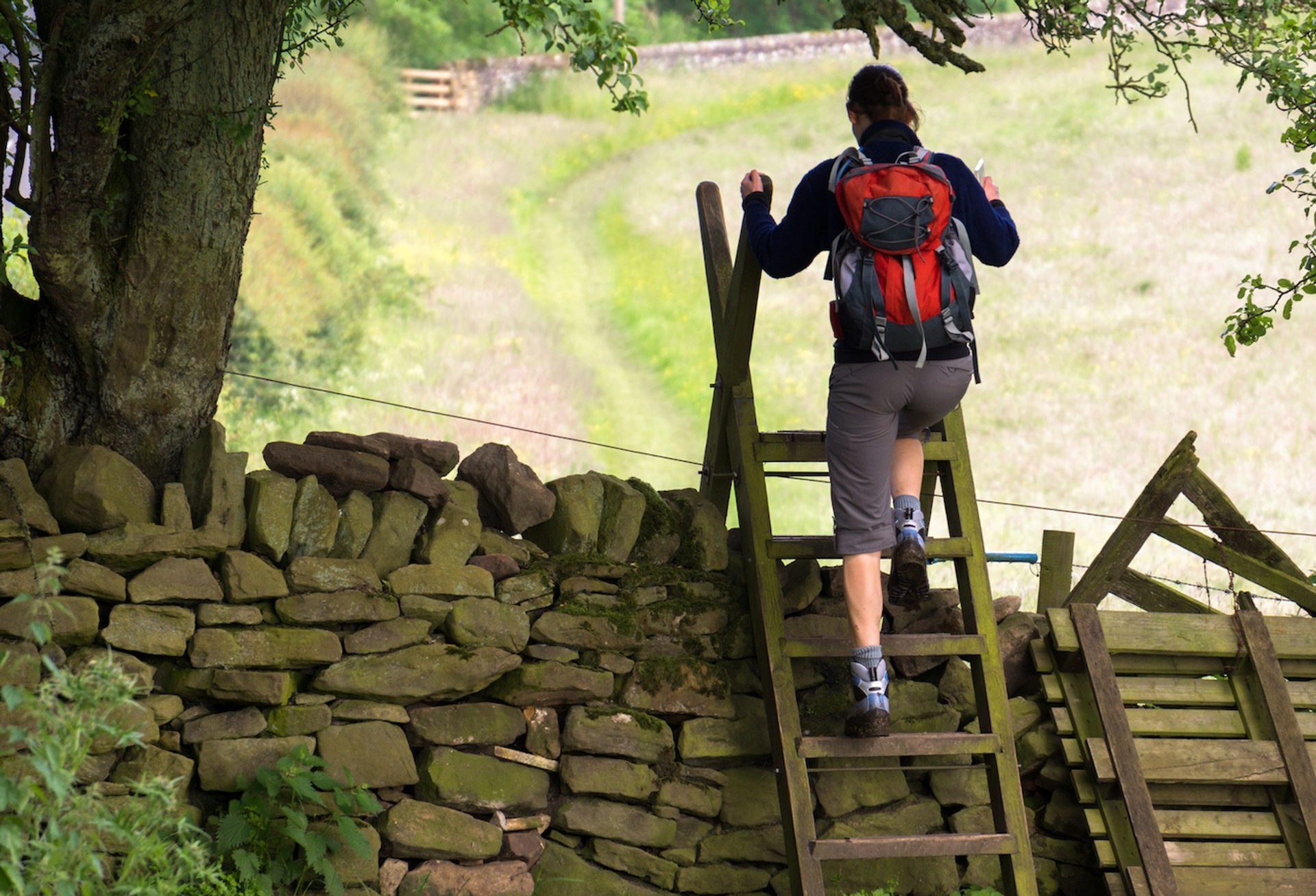 Duncan_Andison_kopie-1709049268