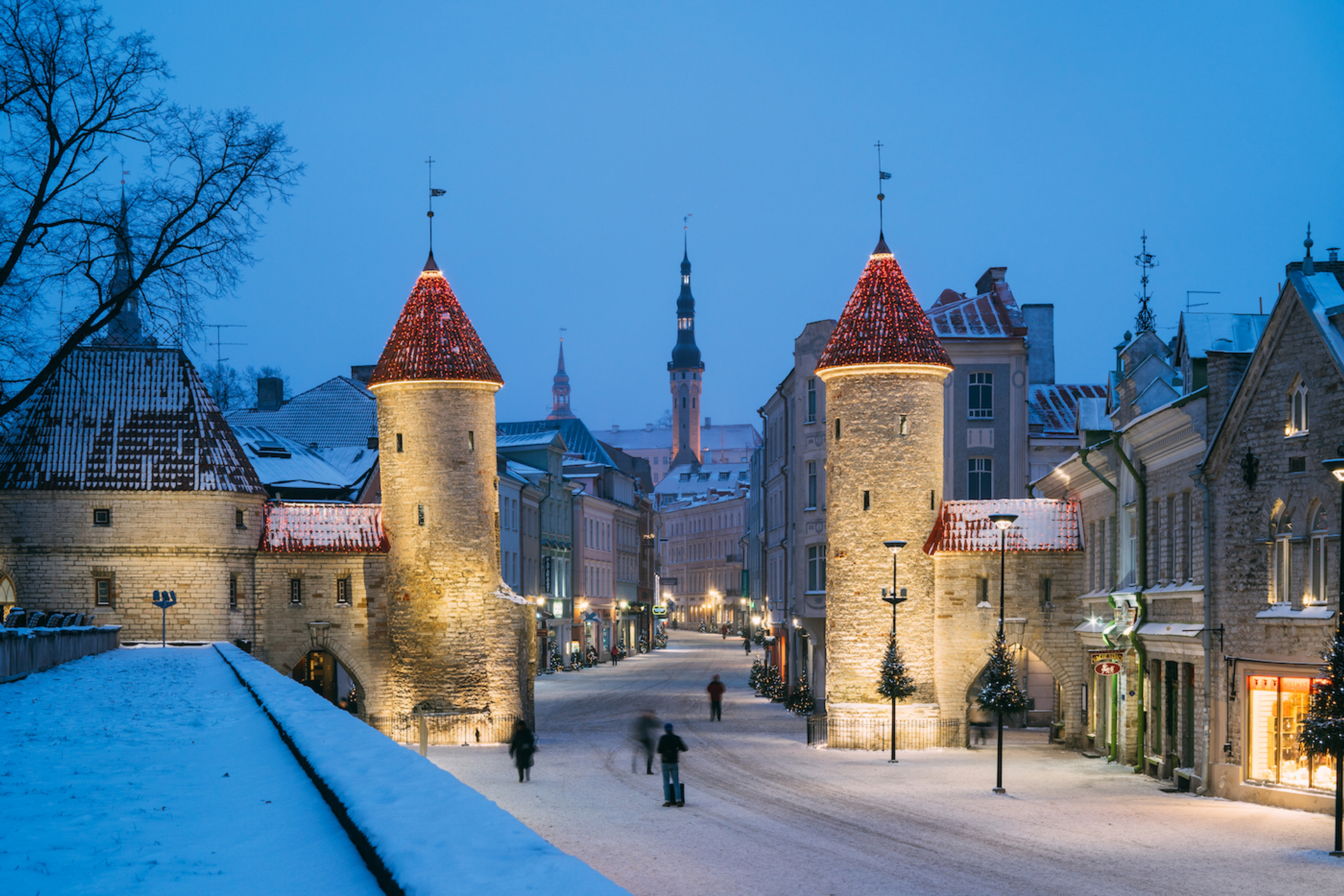 Alex_Polo-1639145129