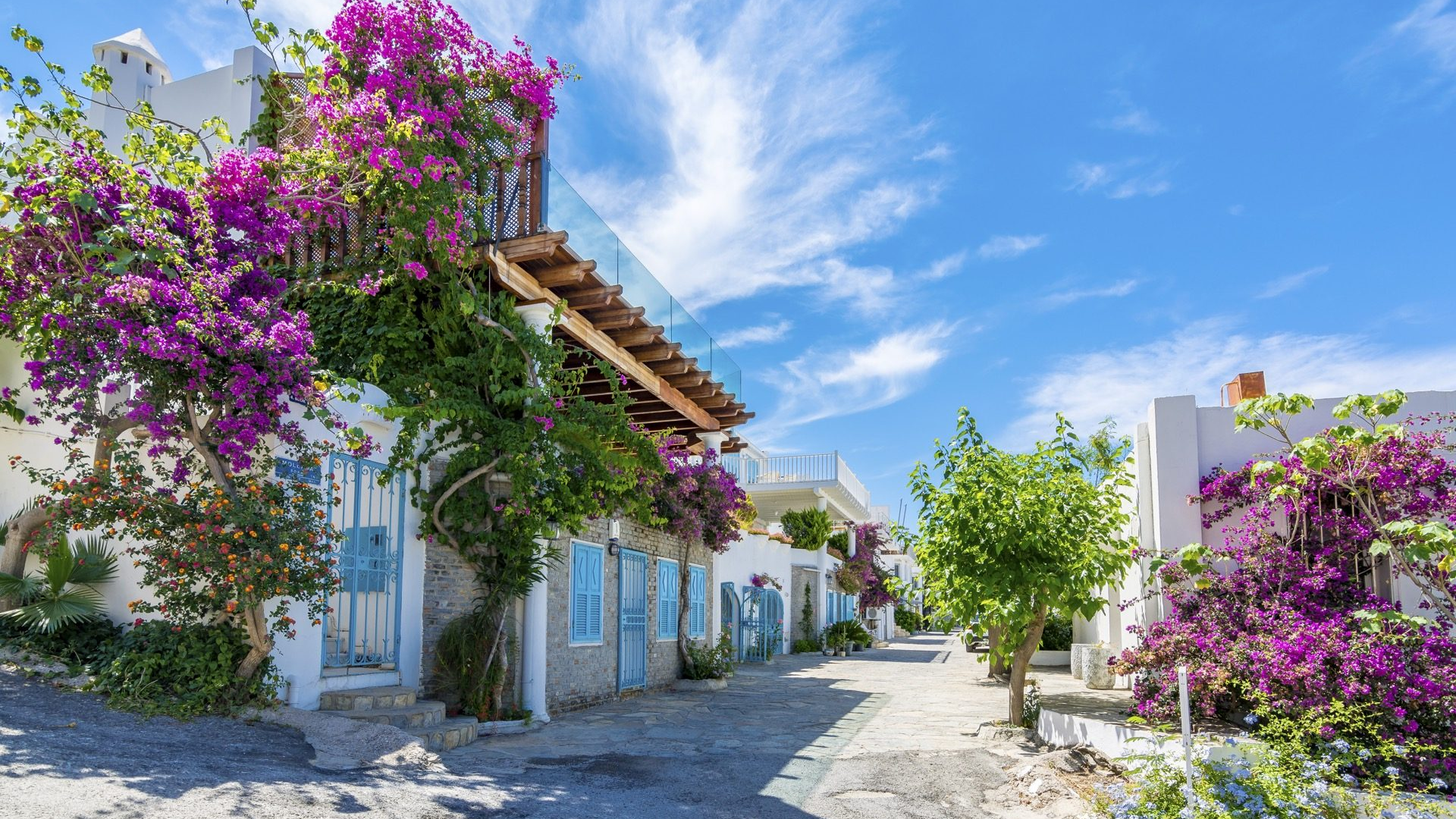 5a038eb9-a33a-420b-b9c7-17d631ca7926-1605091357