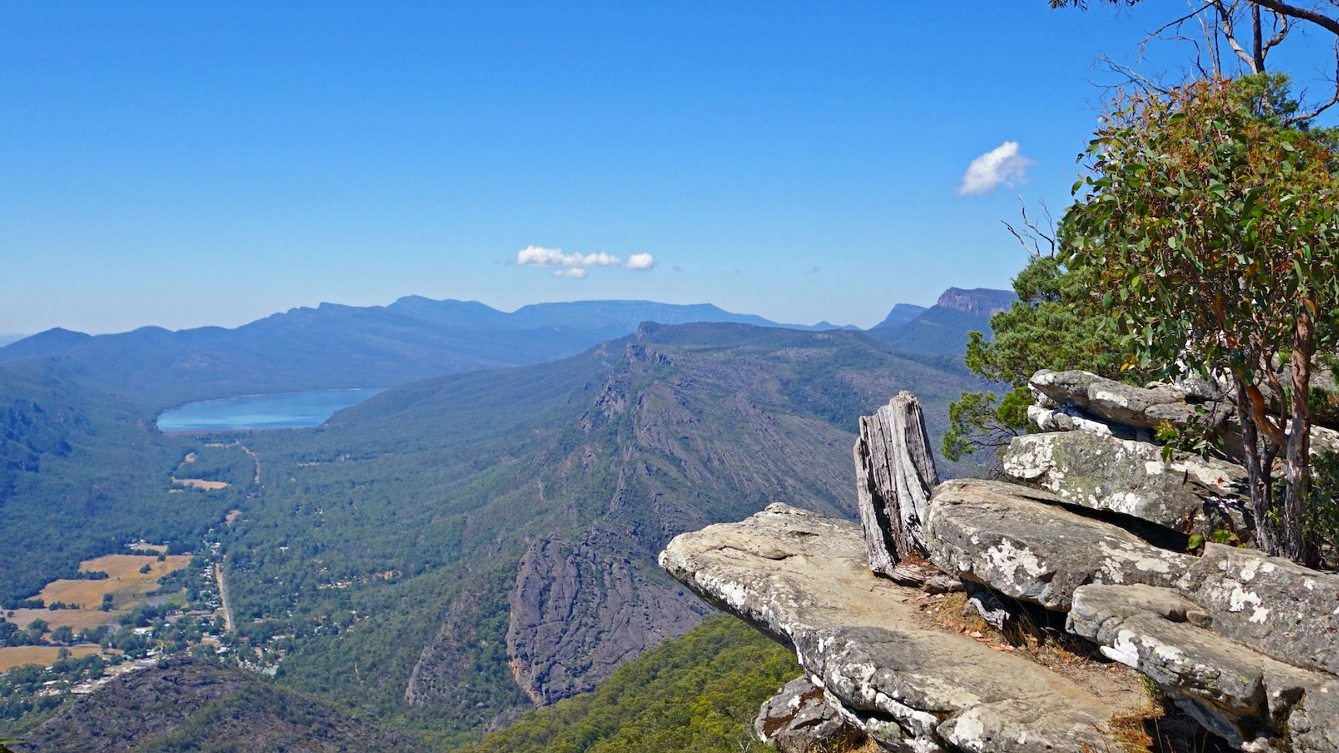 0a414f3d-547e-4842-990f-672dc687718f-1605105352