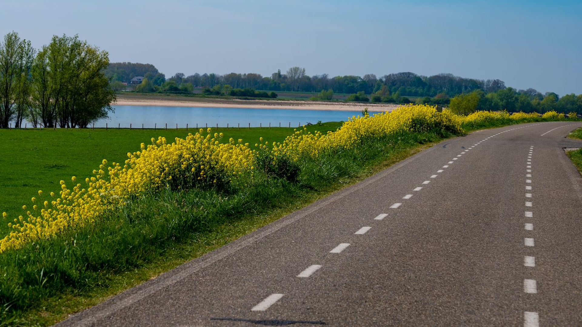 105dd3b3-813d-4c2e-a0ea-f03be75cd2f7-1605001732