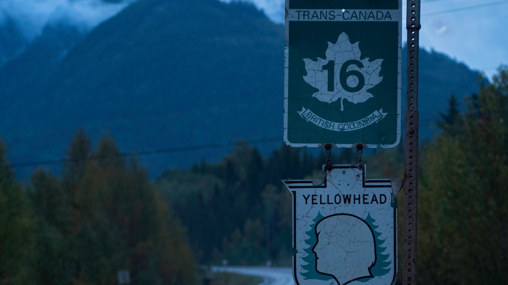 shutterstock_2038063223-1724940551