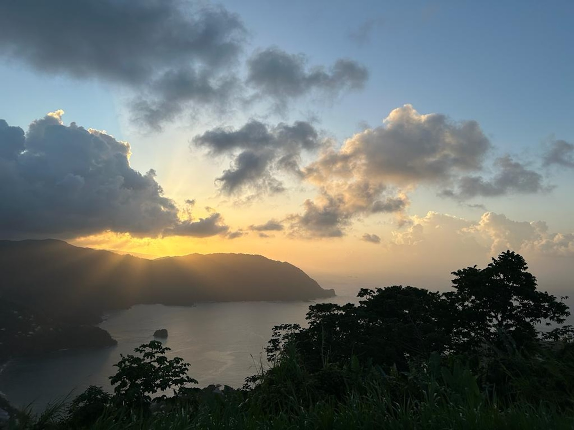 WhatsApp_Image_2025-03-07_at_11.01.45-1741341968