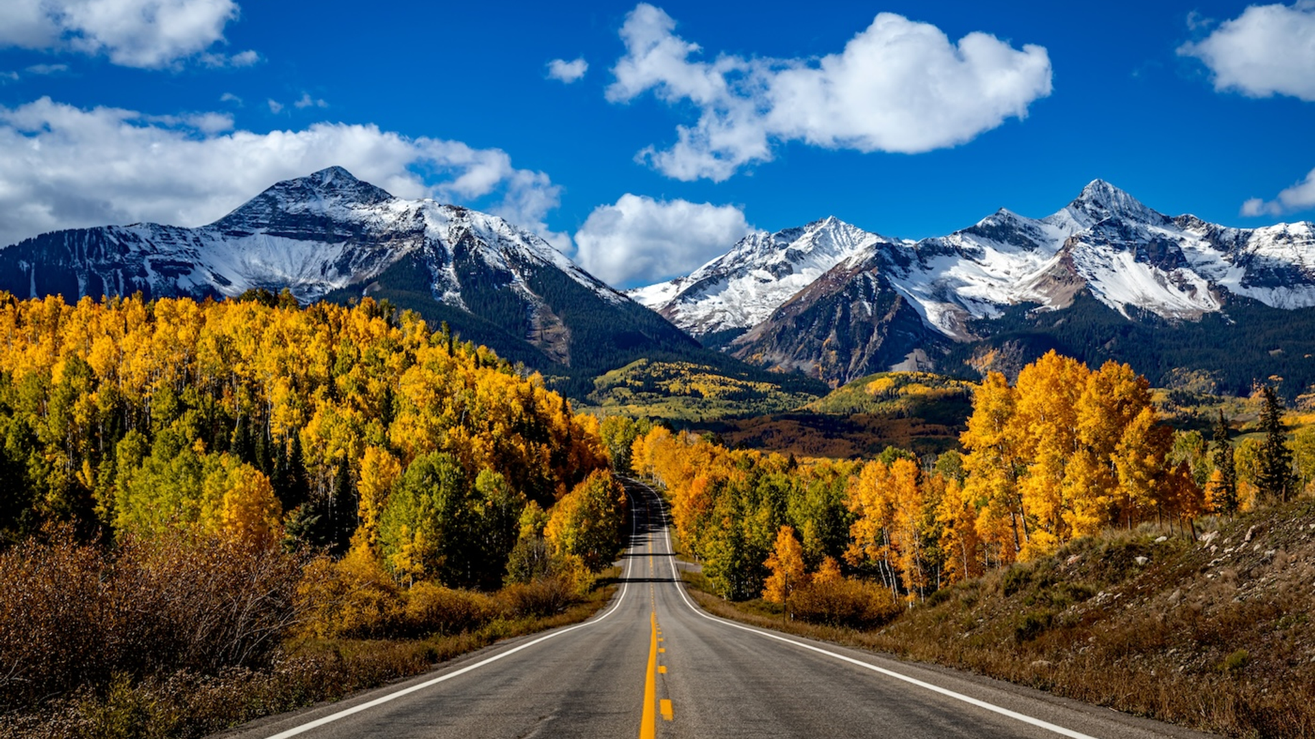 Teri_Virbickis-1721318565