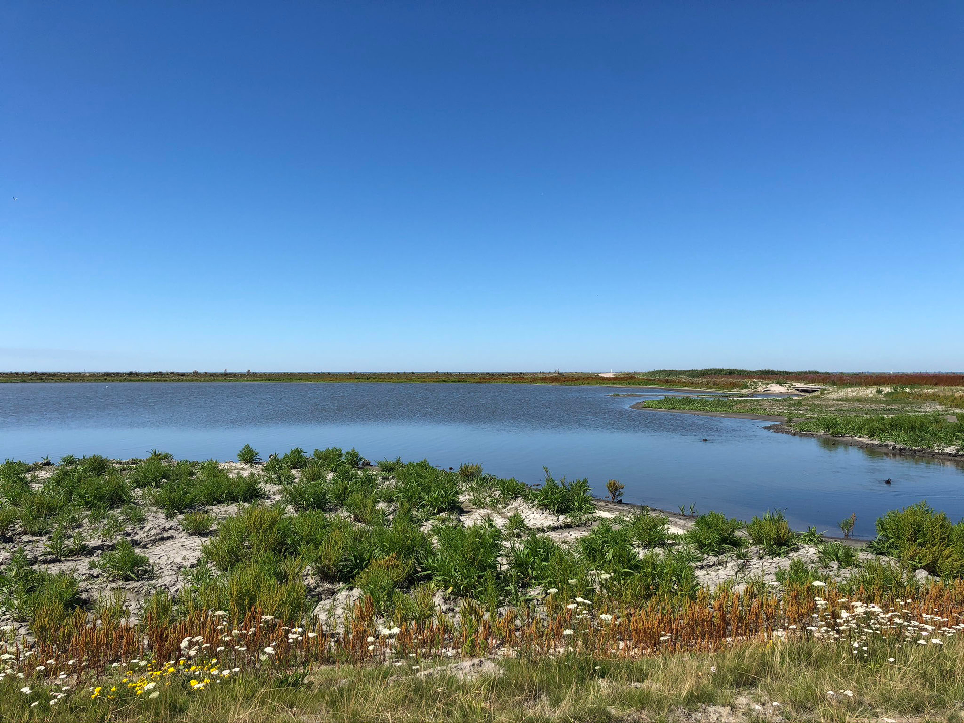markerwadden2-1610026803