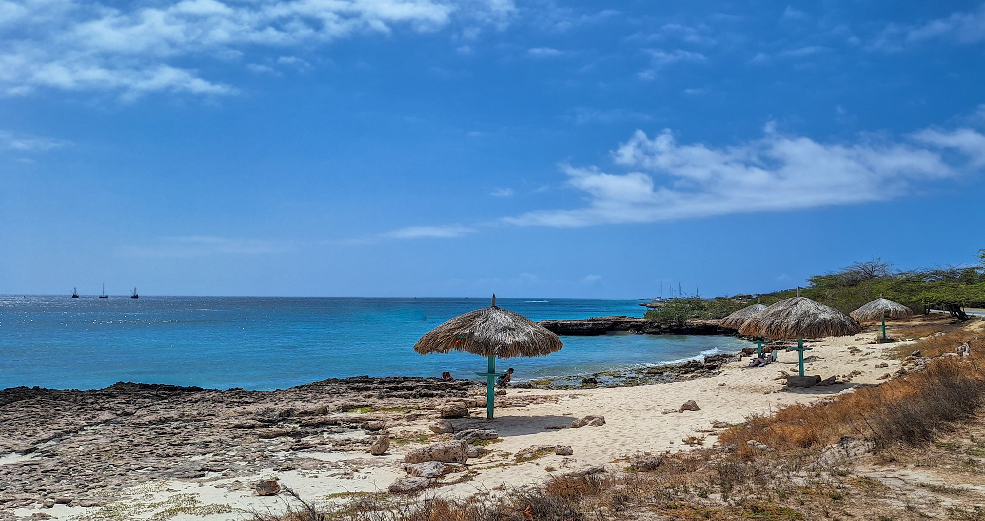 20230622_145055__1_-1720014566