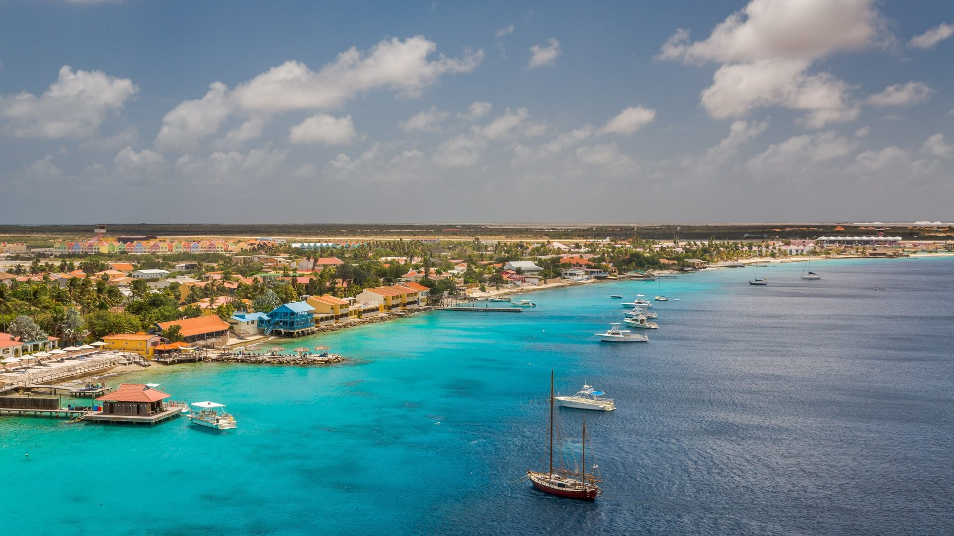 38d5e65e-e54f-43c7-962f-fbd2a82e86c9-1605104622