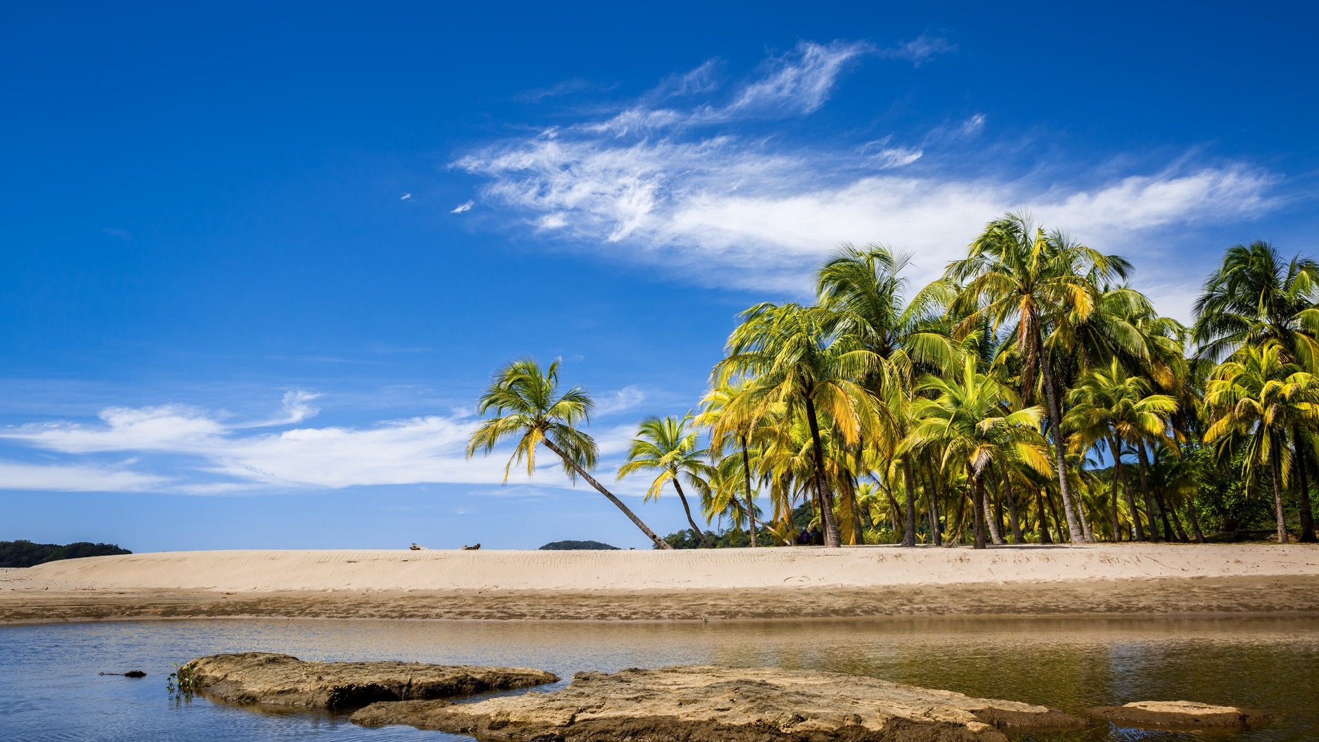 530fca1e-1a17-4f46-833e-b1bc985cfaa5-1605103643