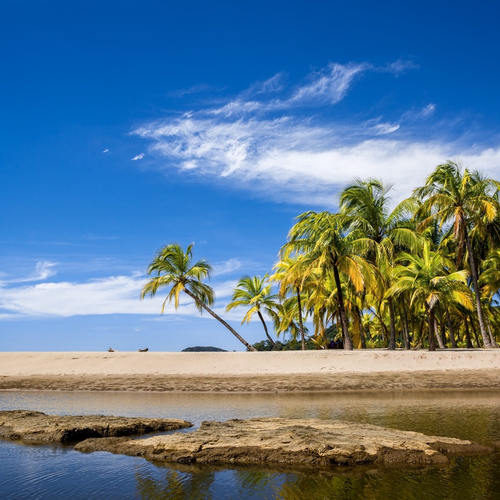 Guanacaste - Isla Venado