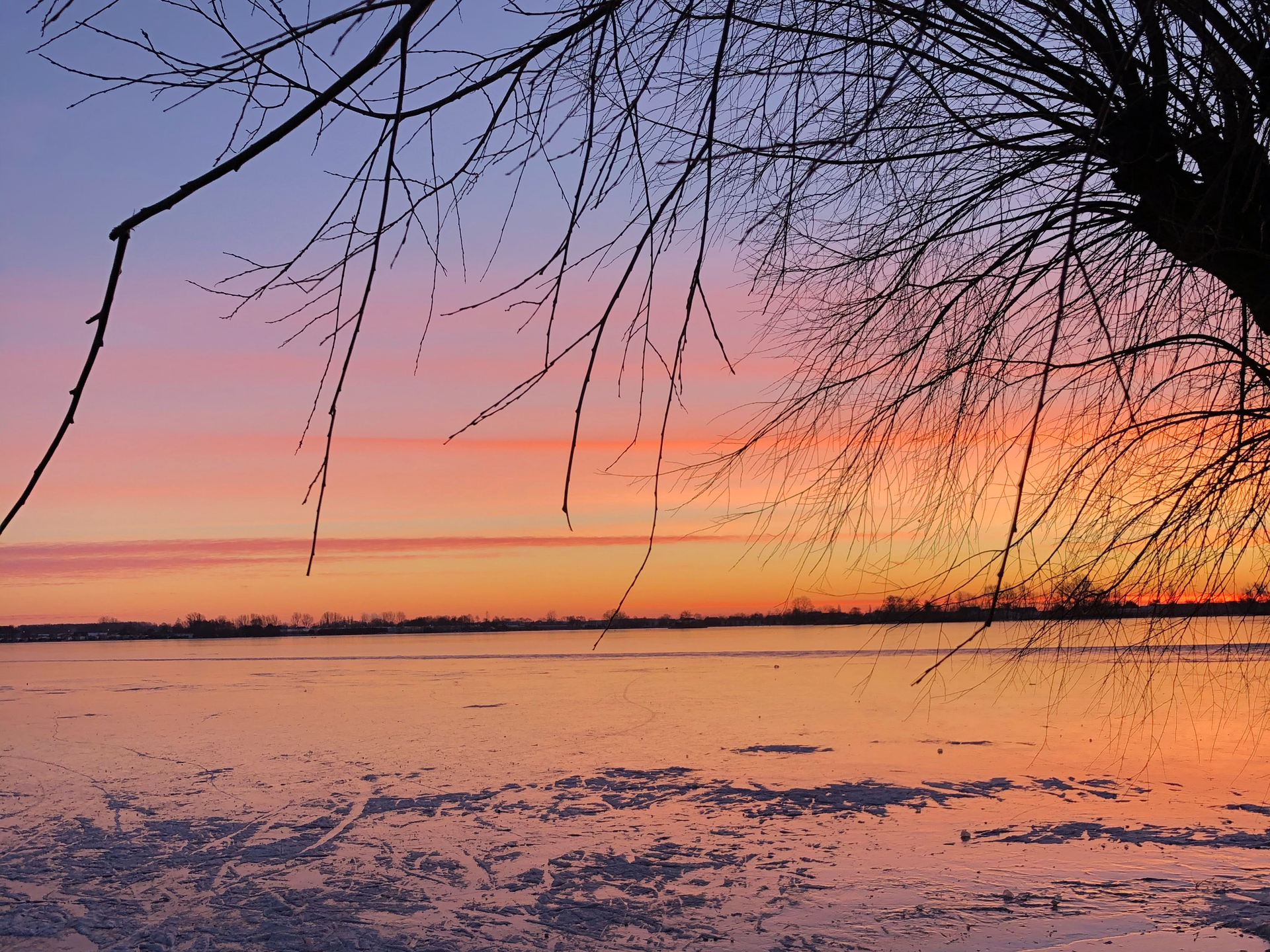 Milja_Platzbecker__Langeraarse_Plassen2-1614085696