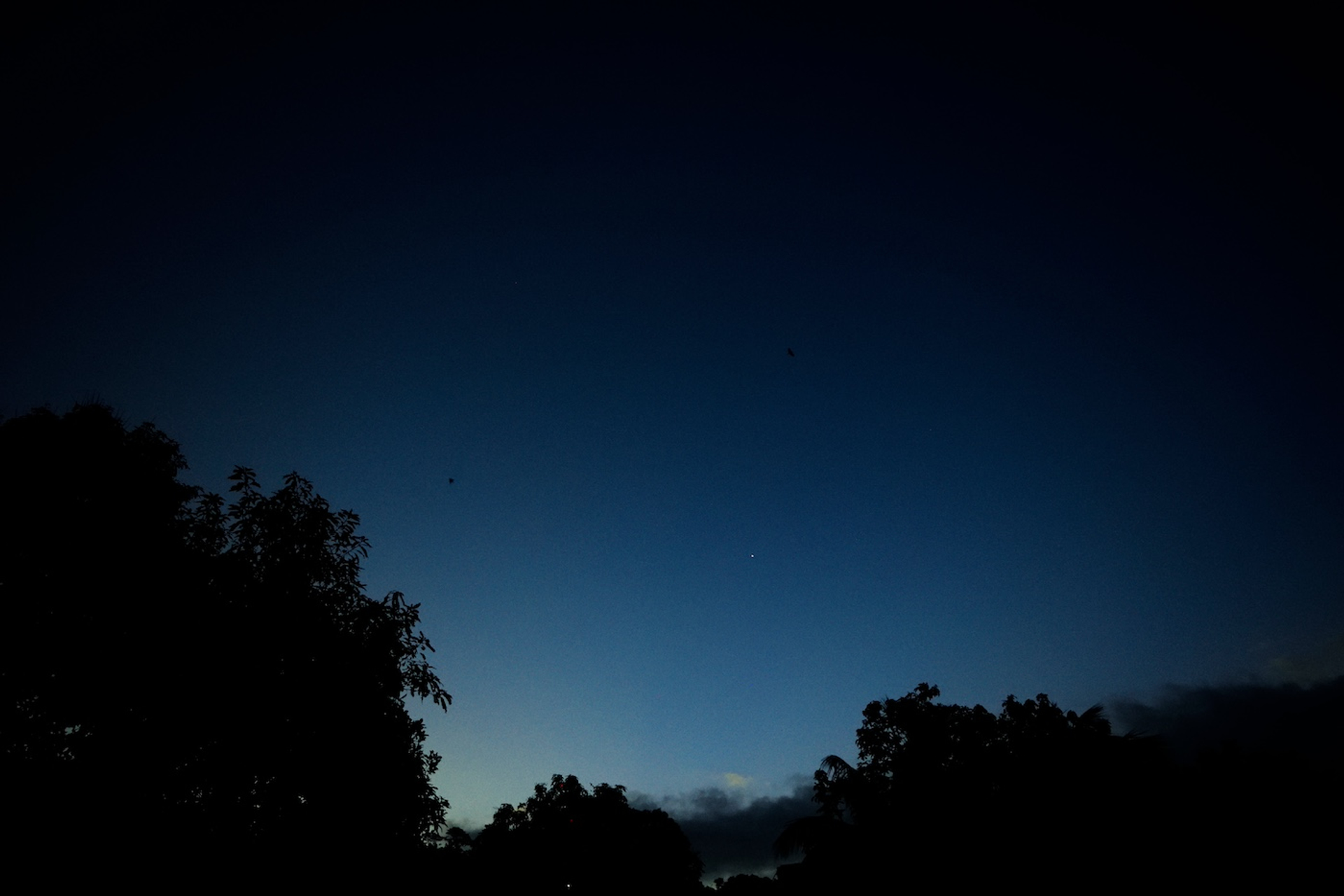 shutterstock_1357144376-1718801645