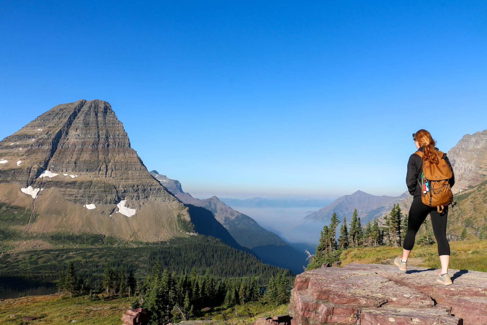 shutterstock_2447986051-1740046814